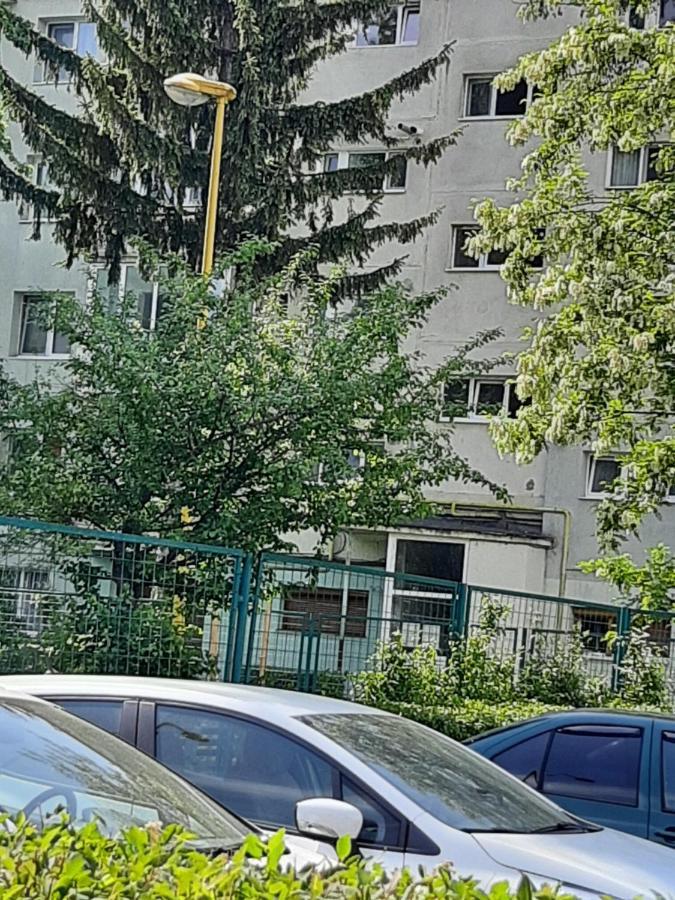 Home Uranus Brasov Exterior photo